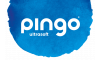 Pingo